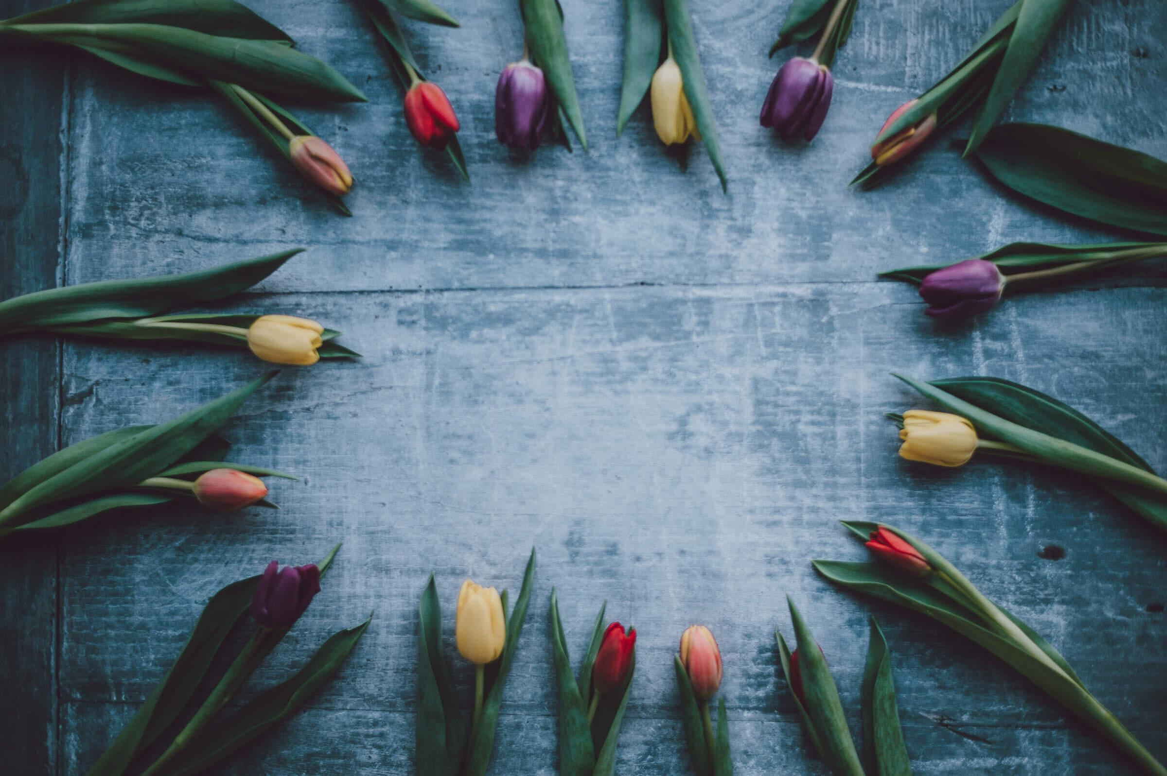 Ostern Geschenk: Swami Rama - Yoga - Philosophie - Freude -Achtsamkeit