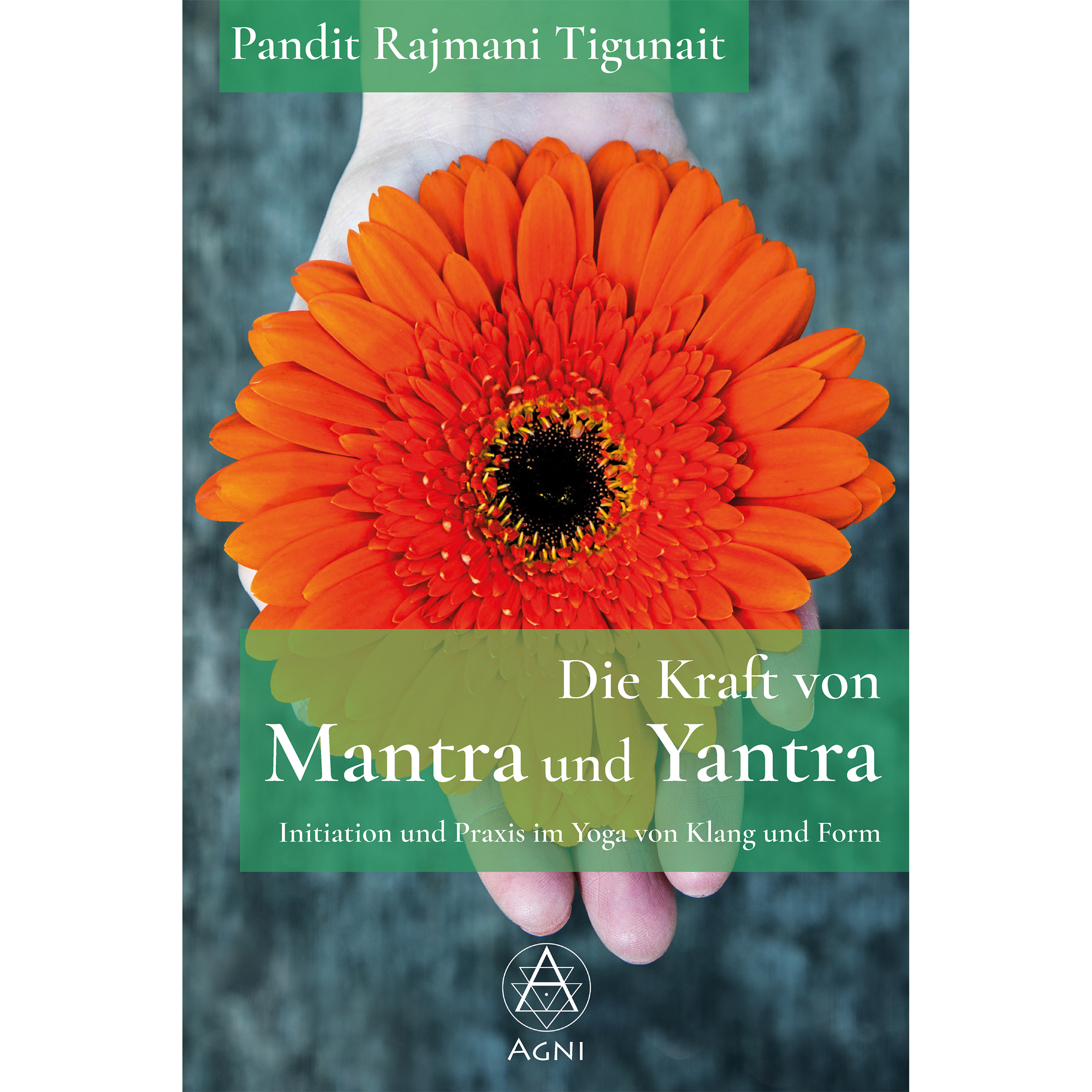 AV022 Die Kraft von Mantra und Yantra - Initiation und Praxis im Yoga von Klang und Form (Pandit Rajmani Tigunait)