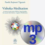 Vishoka Meditation Cover Audio-Download