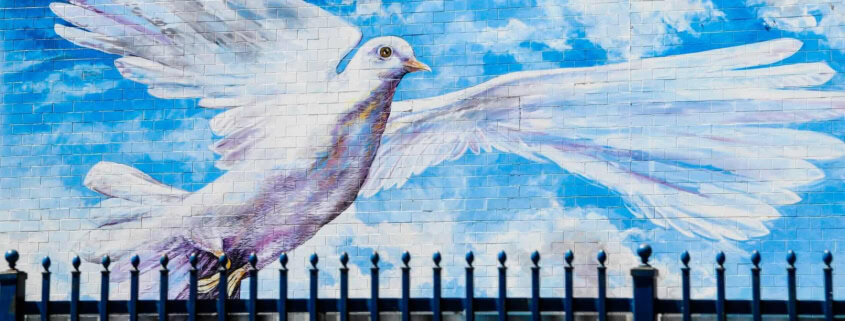 Friedenstaube