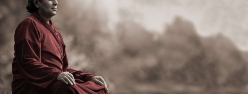 Swami Rama - Meditation - Biographie - Zur elften Stunde - Agni Verlag 2021n