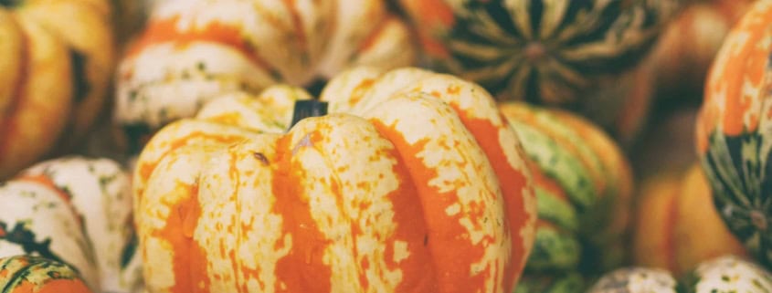 Kürbisse, Erntedank, Fülle des Herbstes