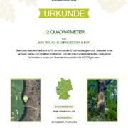 Patenschaftsurkunde Buch 2024 - Sri Sukta dbcffbfe-1b32-44f3-acbb-84d7b9d61dc4
